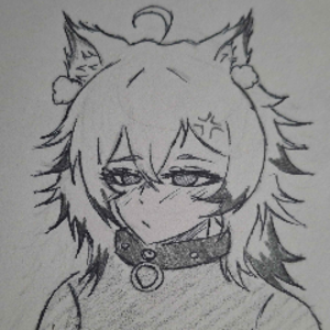 SoftAkaniz