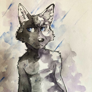 solisthewolf