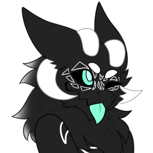 SomnusTheCat_