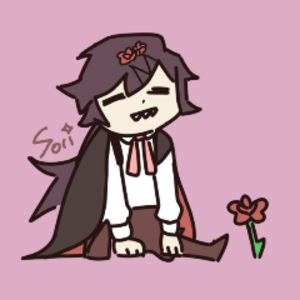 SoriTheStar