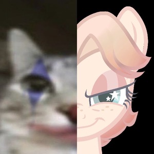 SparkStarlight