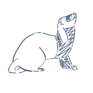 SpartanFerrets