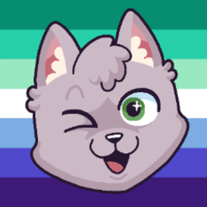 SteinCatboi