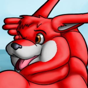 StudtheKangaroo