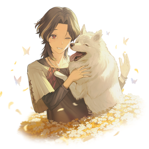 蝶_夢