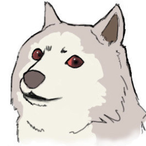 Temporal_Wolf333