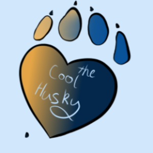 thecoolhusky