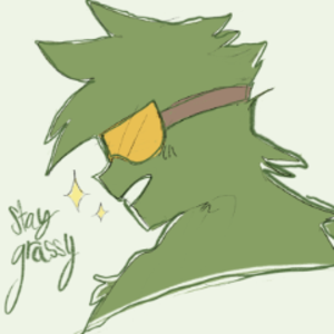 TheGrassmanVT