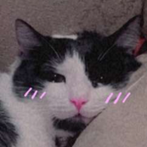 tizzylame