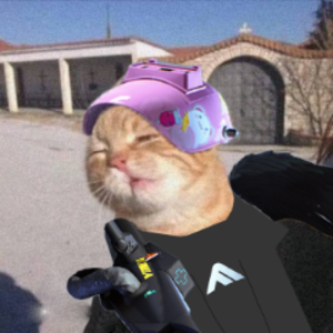 toni_sup