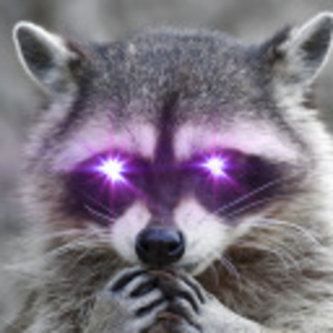 TrashKingRaccoon