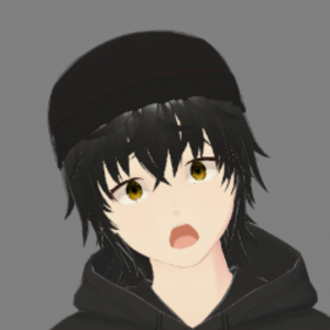 tsptoastervt