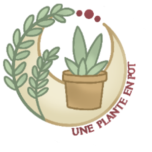 UnePlanteEnPot