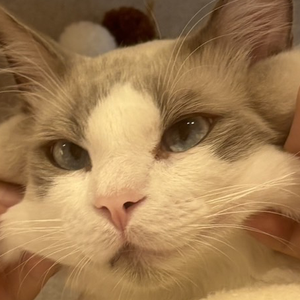 うさくんだよ