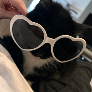 v_eeee_v