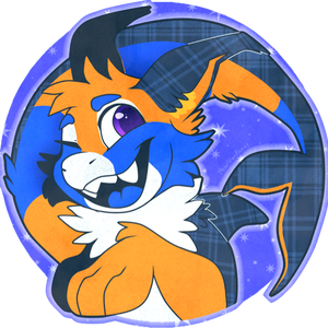 vet1kflannelkit
