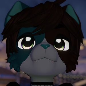 VoxyTheCat