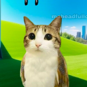 Vunilly