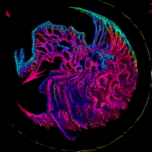 wodeworm