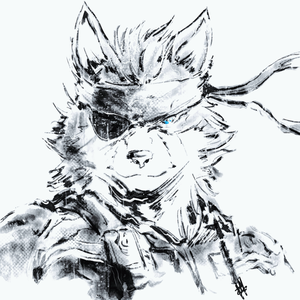 WolfePlisken