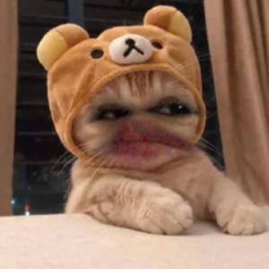 xkylielive