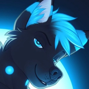 xWeekendxWolfx