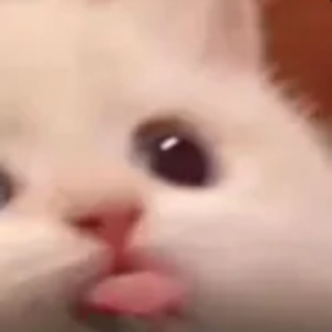 yeliahkitty
