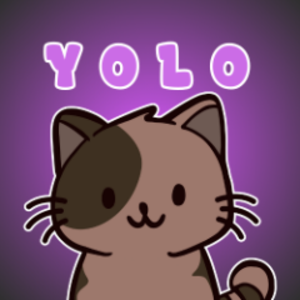 yolo_vt