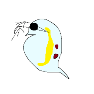 よっつん11