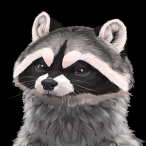 ZaccoonTheRaccoon