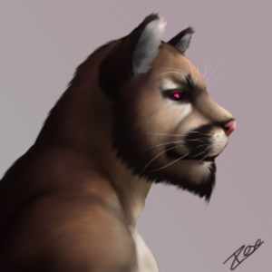 Zexiex