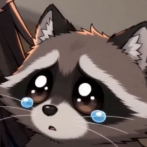 ZoniRaccoon
