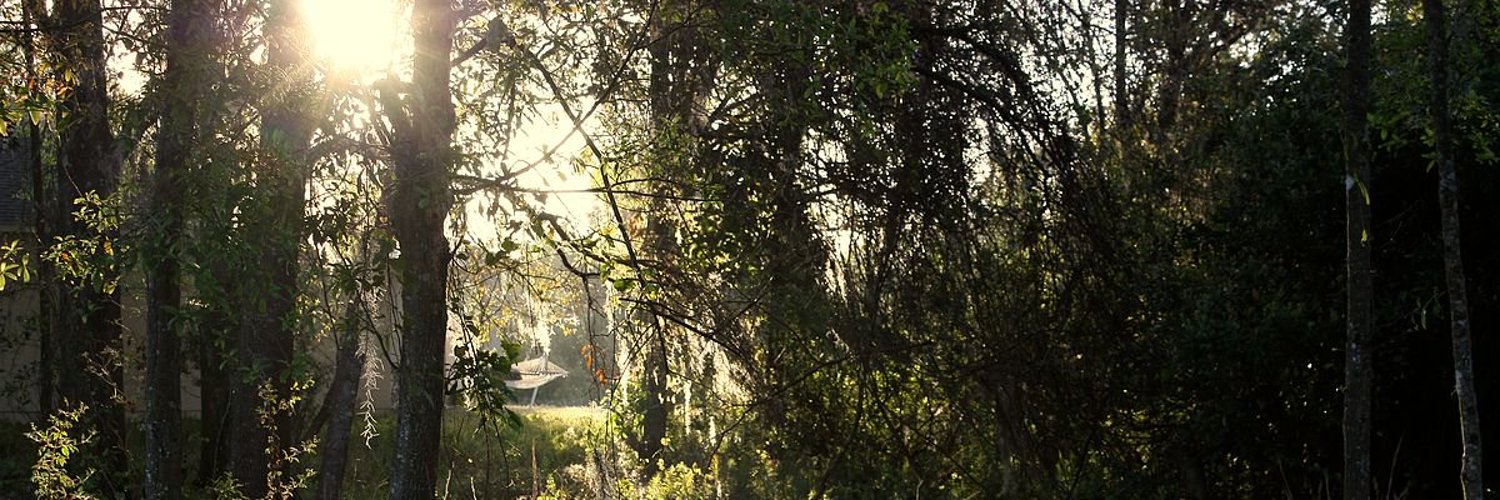 🍀Adare 🧚🏻 ENVtuber🍀 banner