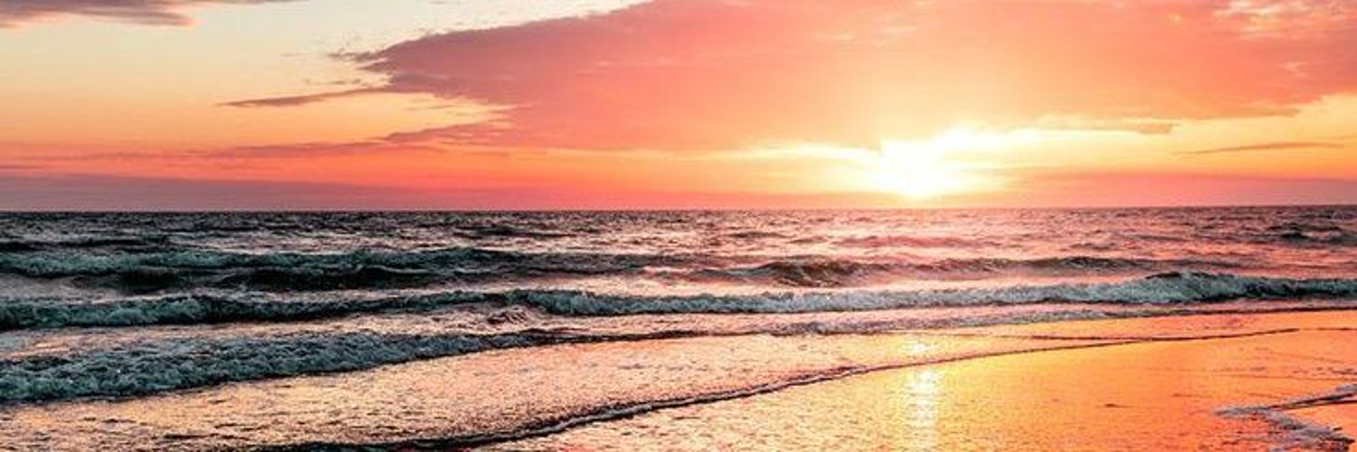 Lucy Shane banner