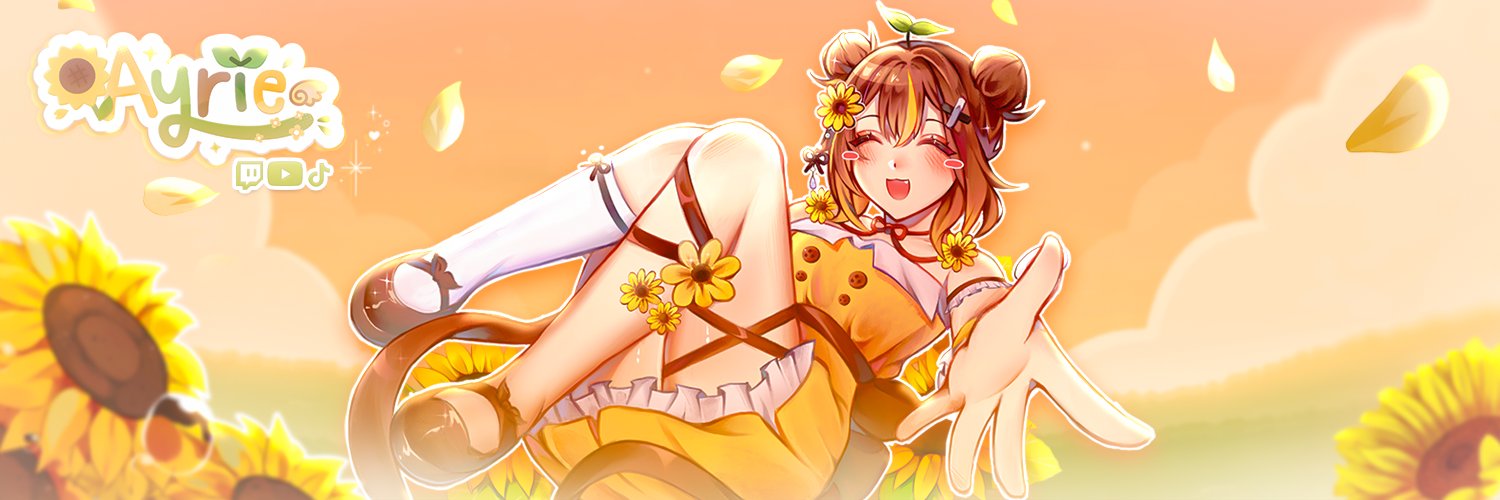 AyrieVT banner
