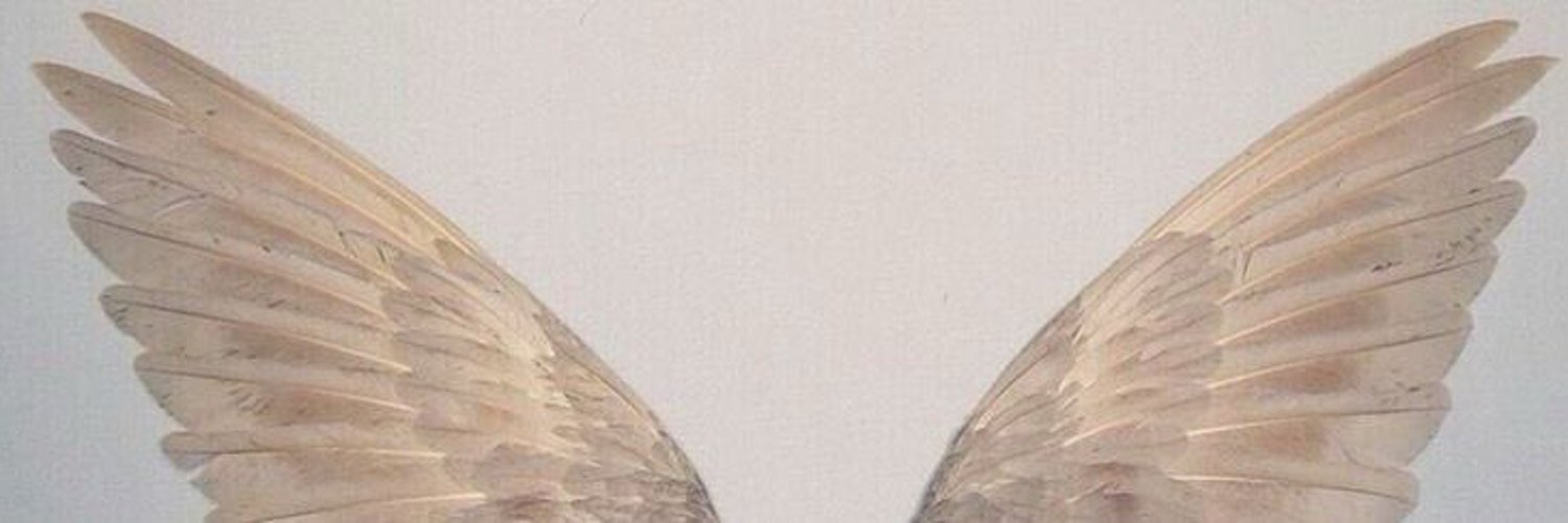 🕊 Brandy Darling || pre debut Angel Vtuber banner