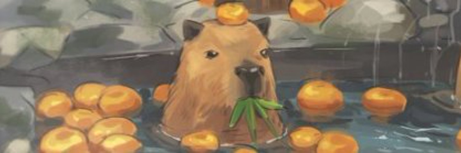Kairo The Bara Bara 🍊 🦫『Predebut VTuber』 banner