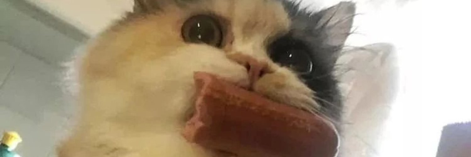 Chessoms🖤❤️|ENVtuber| banner