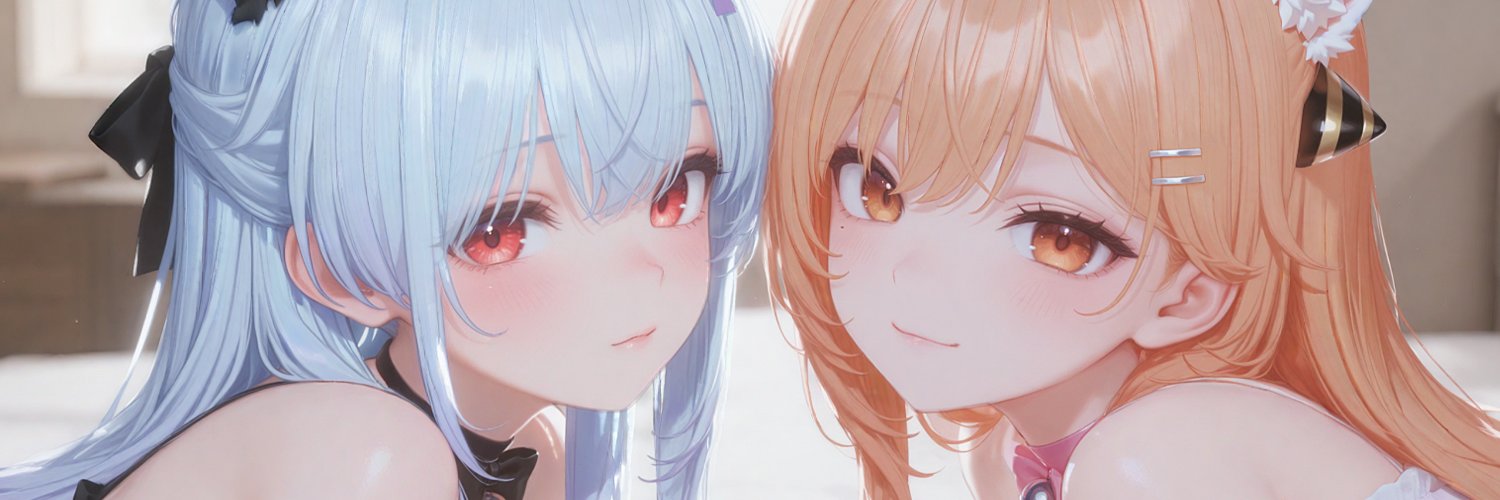 Danz banner