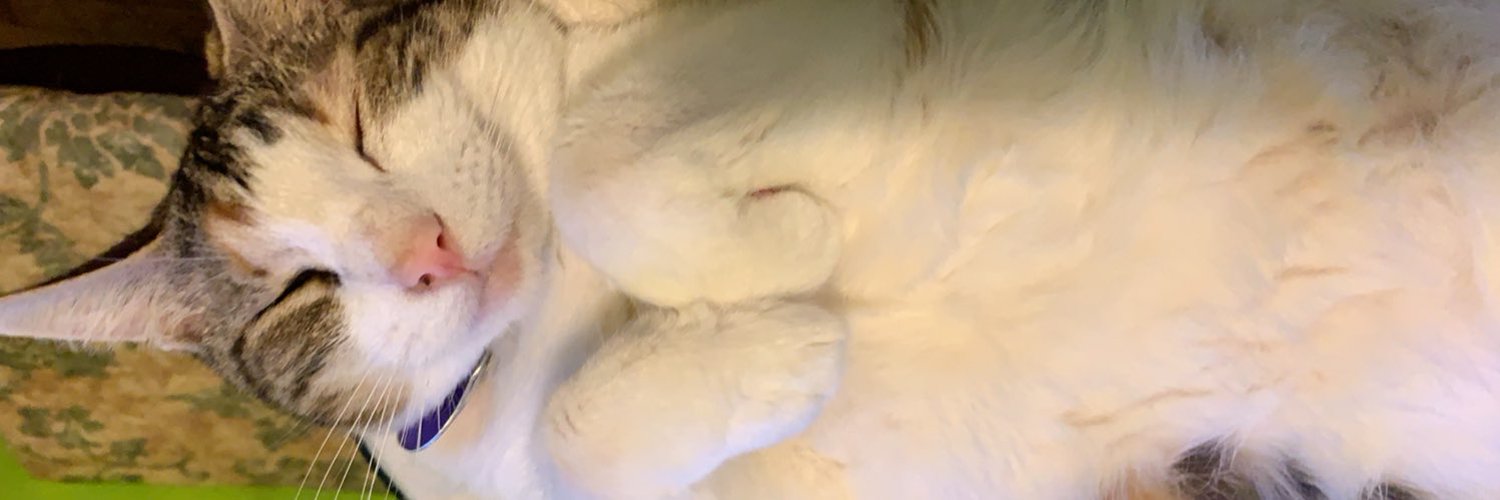 DrWeenz banner