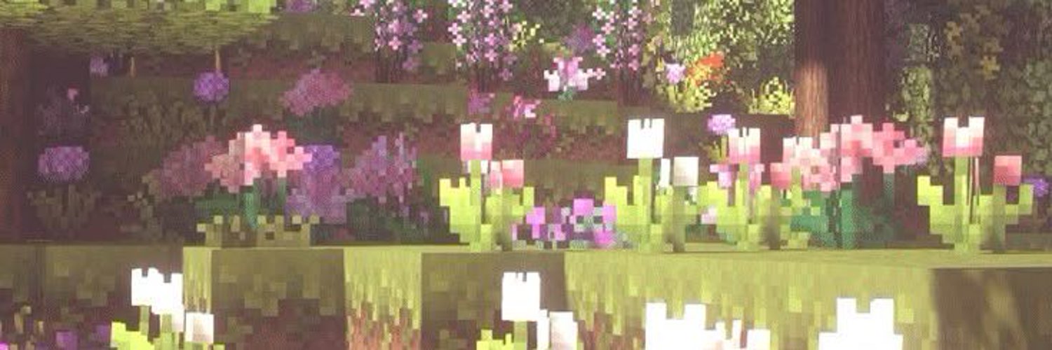 Gaia // PreDebut 🌻✨ banner