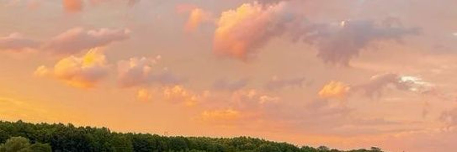𝐻𝑎𝑟𝑢ℎ𝑖 𝐿𝑖𝑟𝑢⊰⁠⊹ฺ ||✦ PNGtuber ✦|| banner