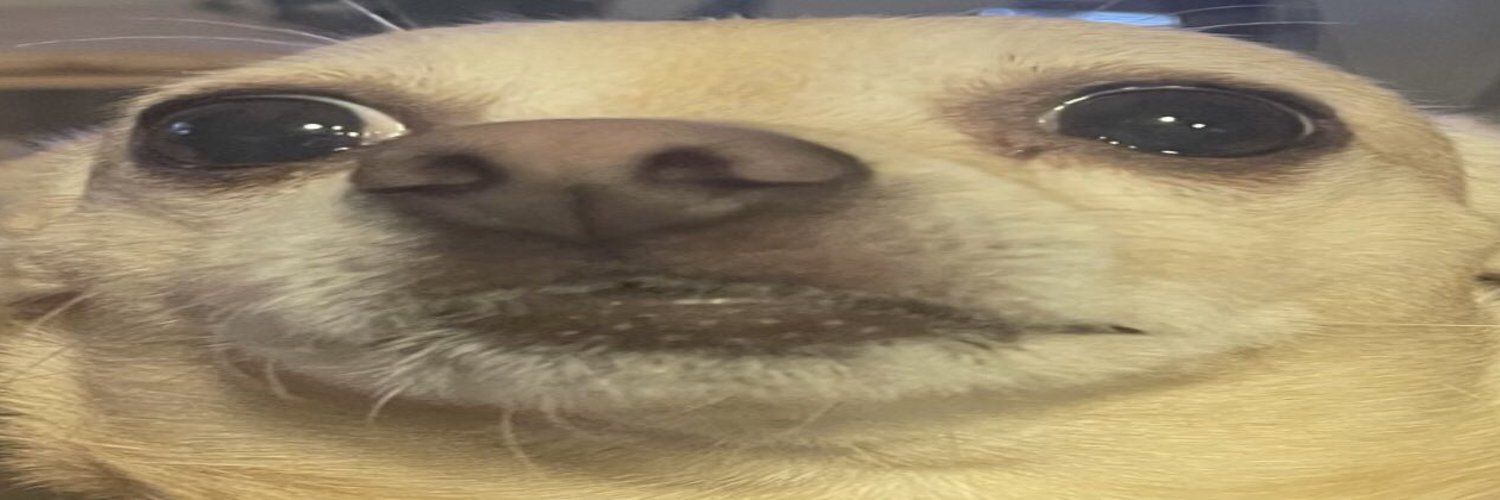 Kujo banner