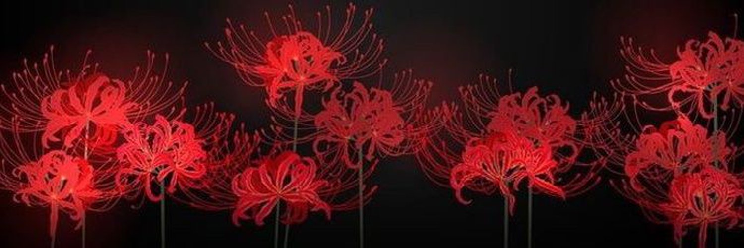 🪷Lily🪷🏮PNGtuber🏮 banner