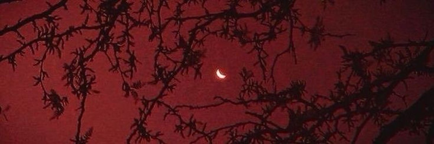 Malvier 🦇🪡 PNGtuber banner