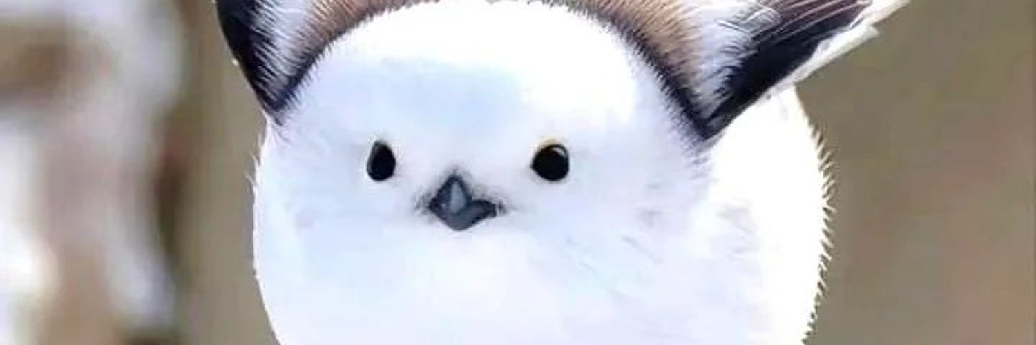 🍁 MapleTreeGamesies | ENVTuber 🍁 banner