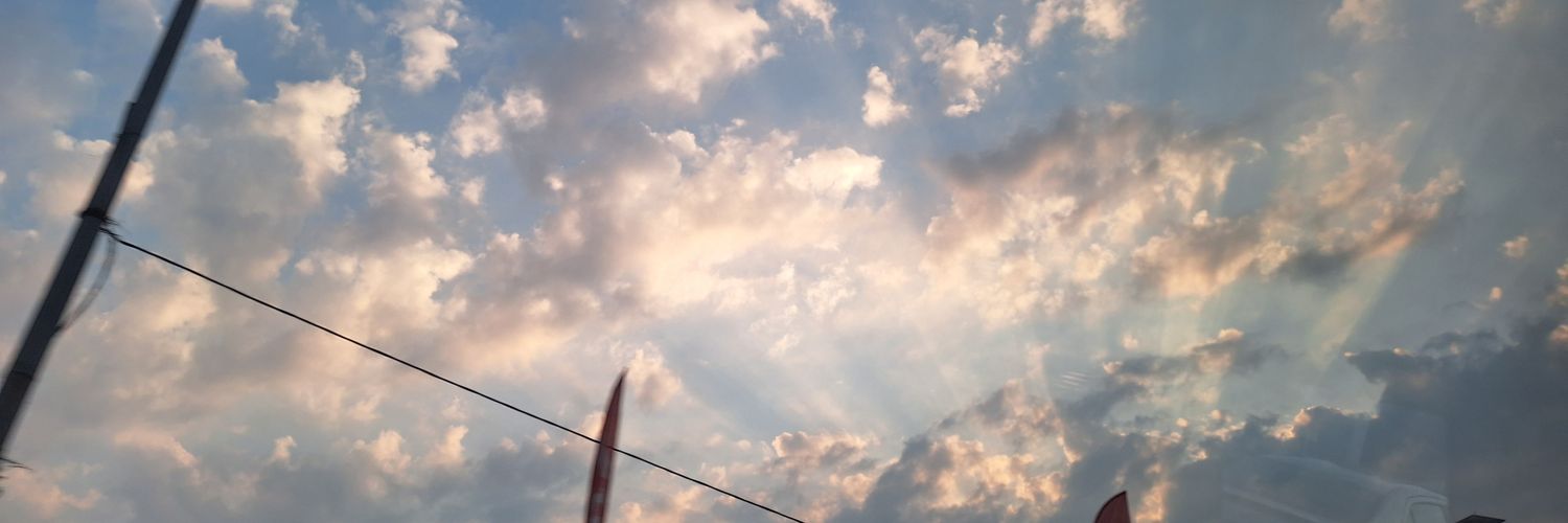 Marika Sumiko banner