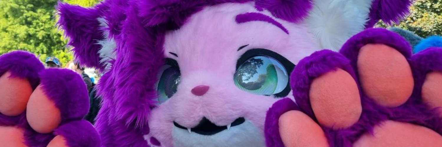 meowdymomo banner