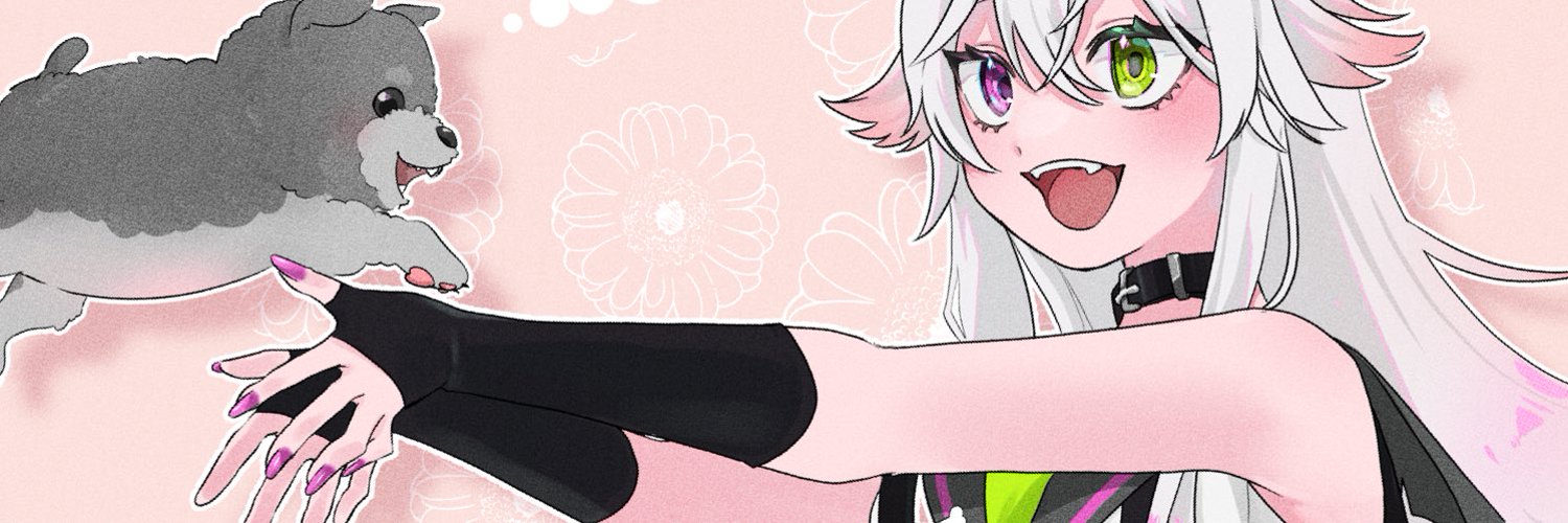 Naako banner