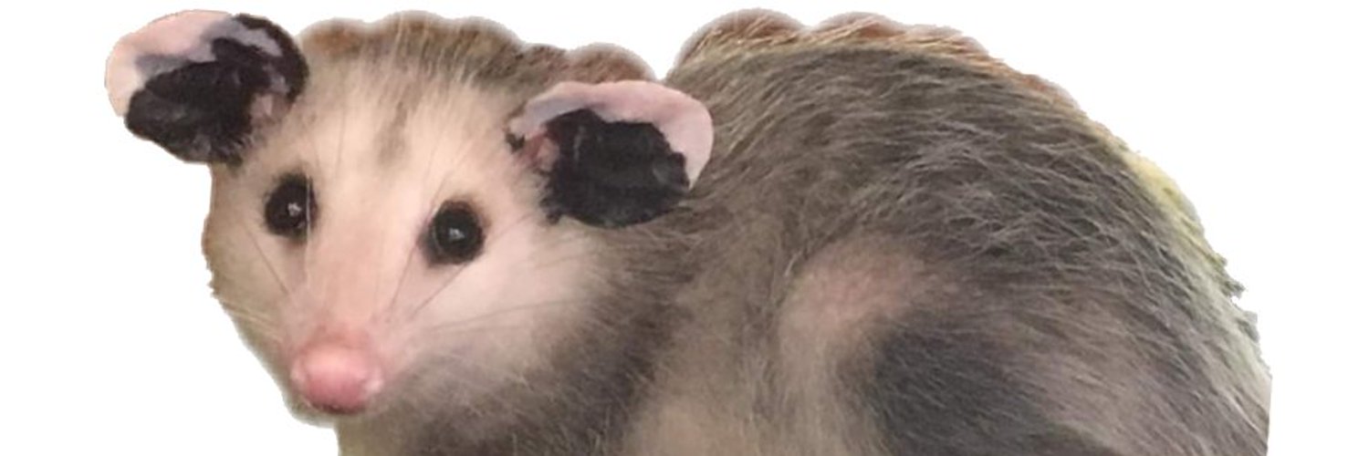 nyanako__ banner